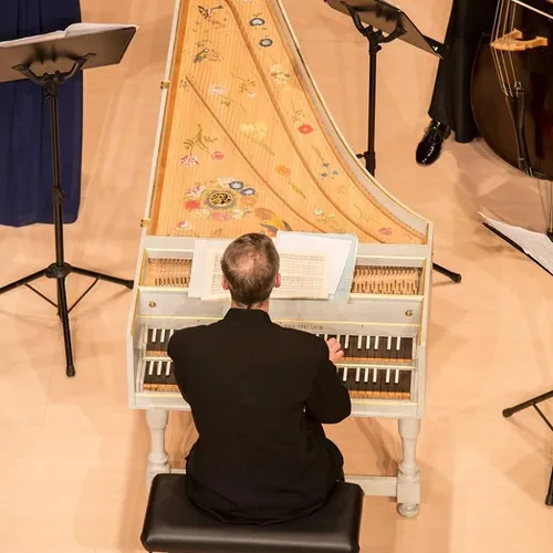 Double manual franco-flemish harpsichord